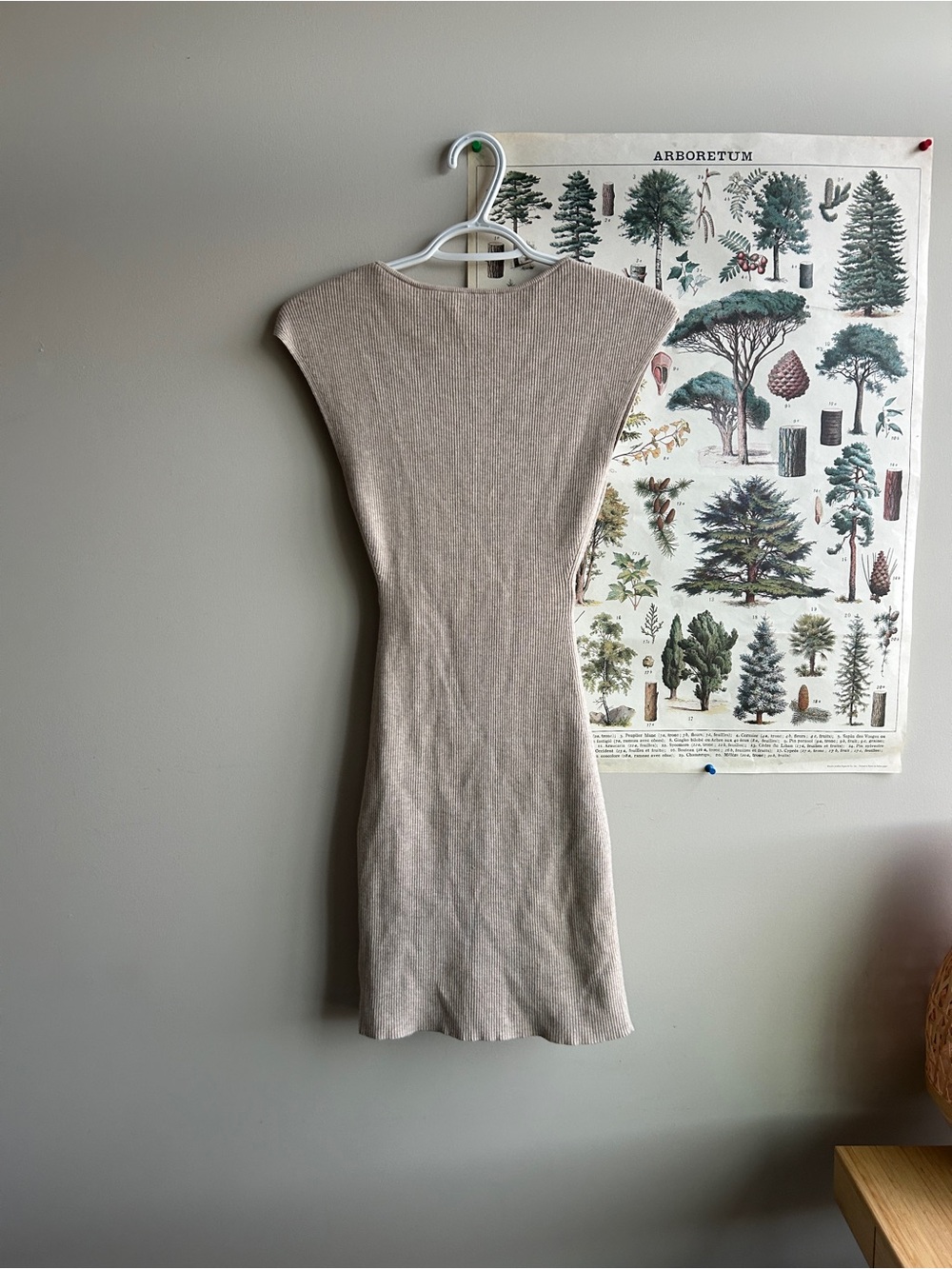 Wilfred Cut-Out Mini Dress XS - Picture 6 of 6